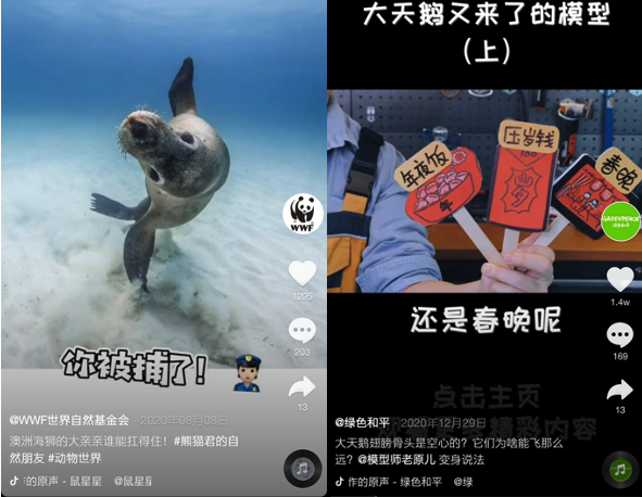 World Wildlife Fund and Greenpeace had localized content posted on Douyin and were well received