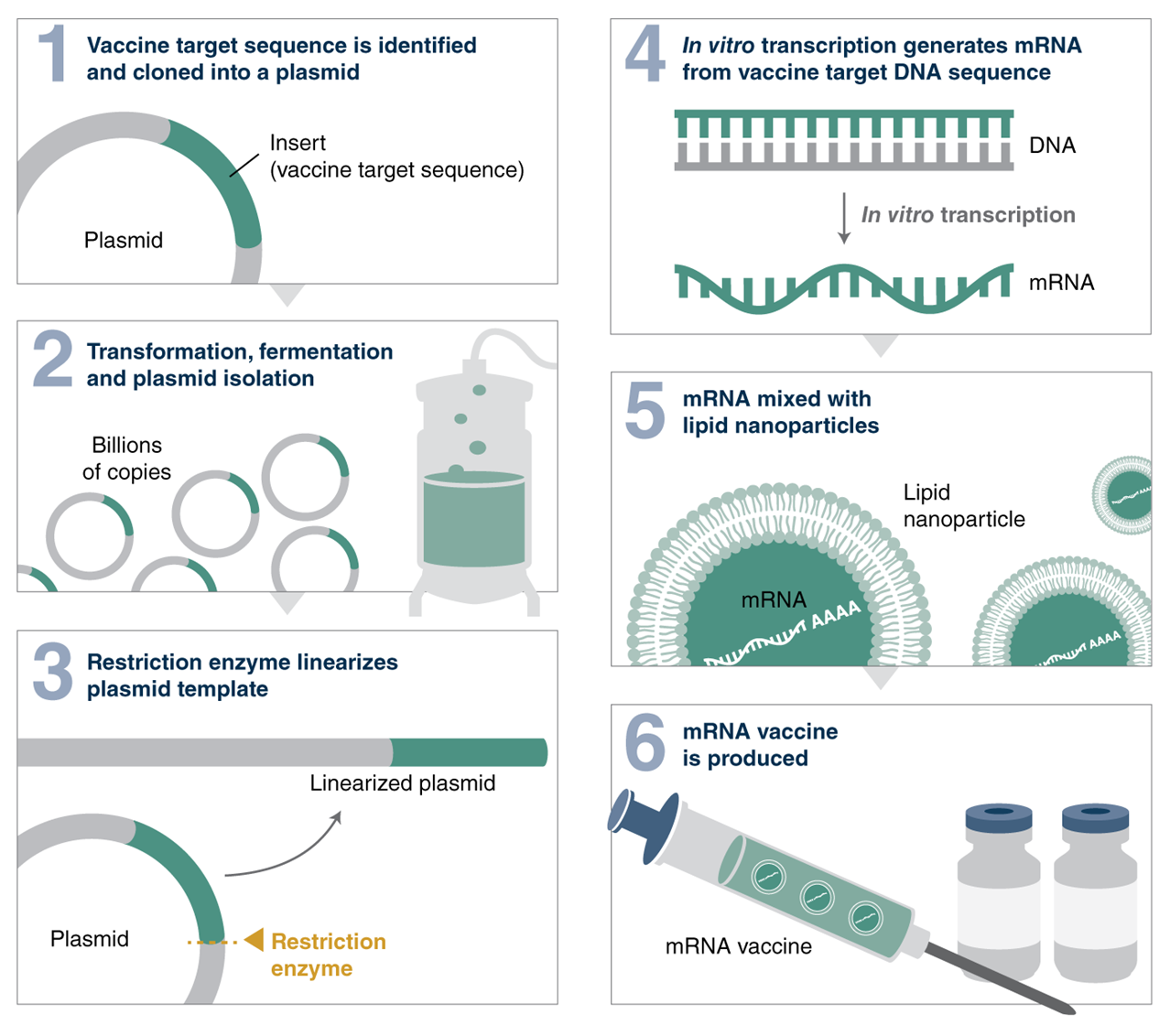Looking into China’s mRNA Vaccine Industry: A Latecomer’s Prospects
