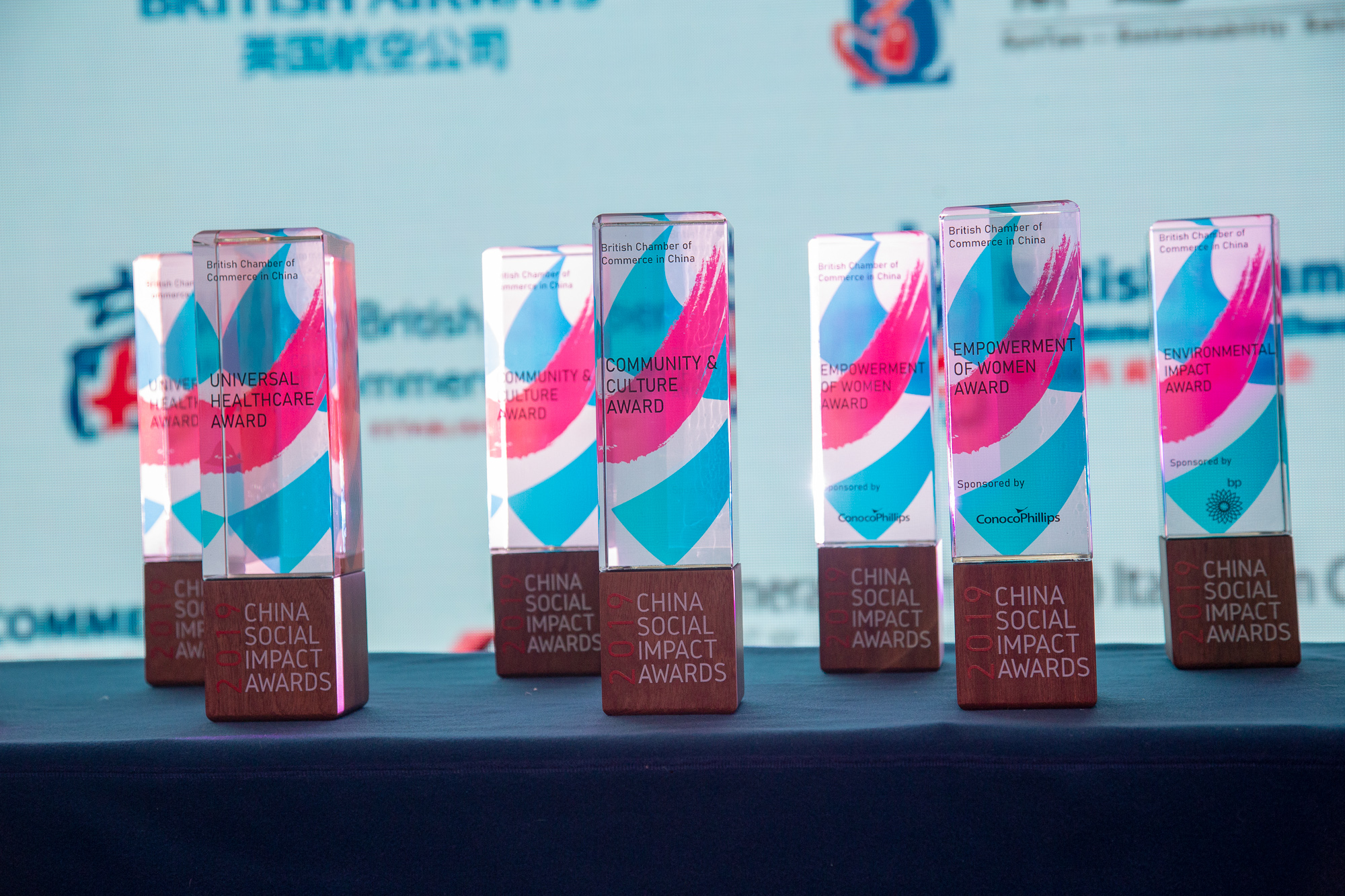 2019 China Social Impact Awards winner